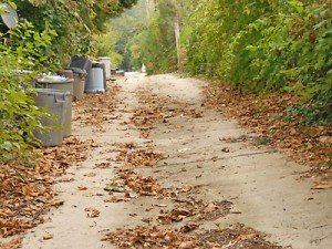 Cleanup Day Oct 2013 #1 - before